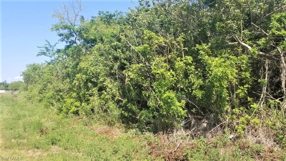 1301 Ann AVE N LEHIGH ACRES, FL 33971