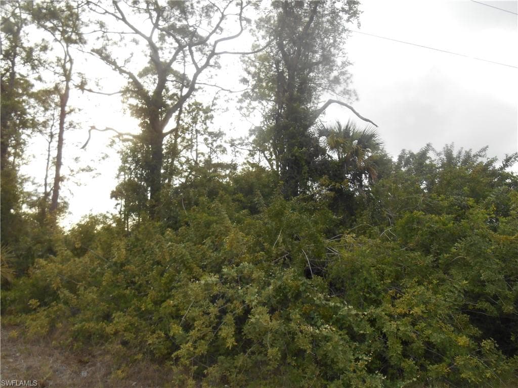 1515 Palmetto AVE LEHIGH ACRES, FL 33972