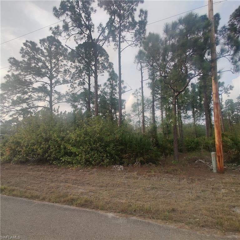 1139 Croquet ST E LEHIGH ACRES, FL 33974