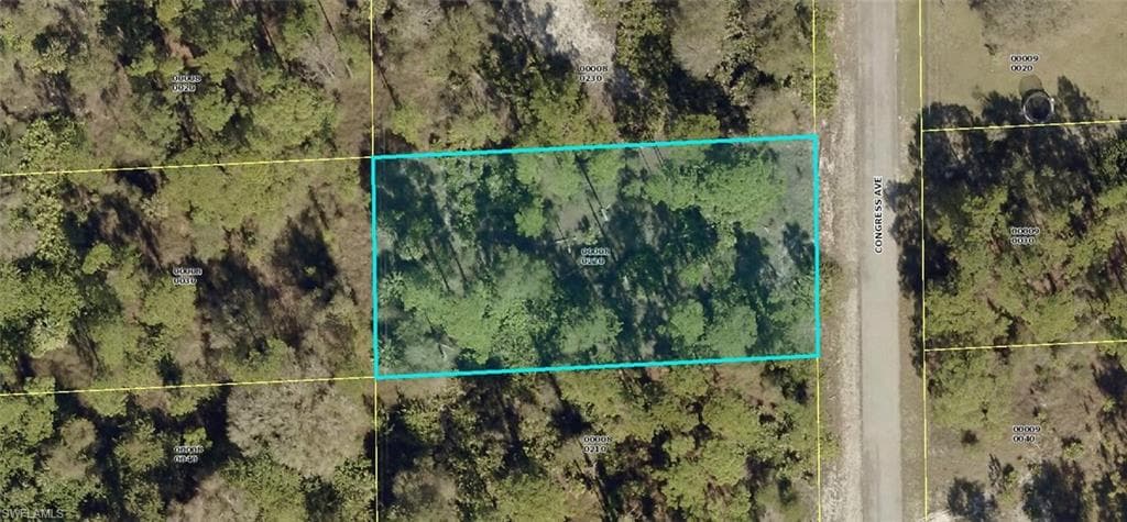 1619 Congress AVE LEHIGH ACRES, FL 33972