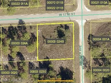 2001 W 17th ST LEHIGH ACRES, FL 33972