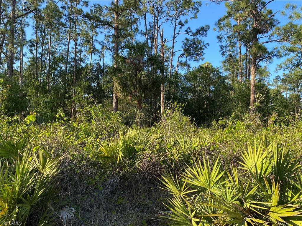 3703 10th ST LEHIGH ACRES, FL 33972