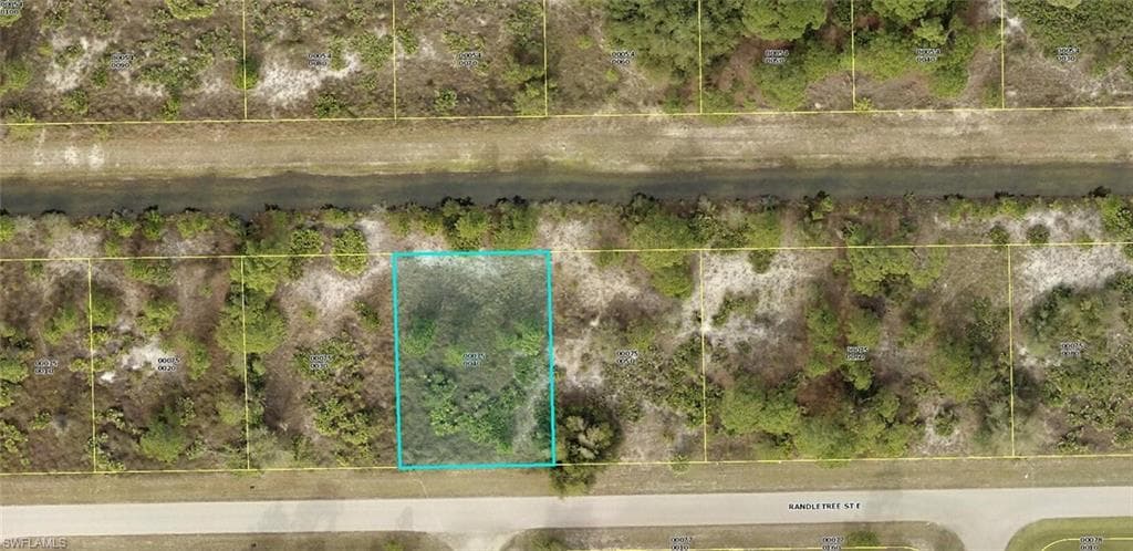 1135 Randletree ST E LEHIGH ACRES, FL 33974