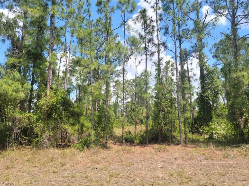 896 Avondale ST E LEHIGH ACRES, FL 33974