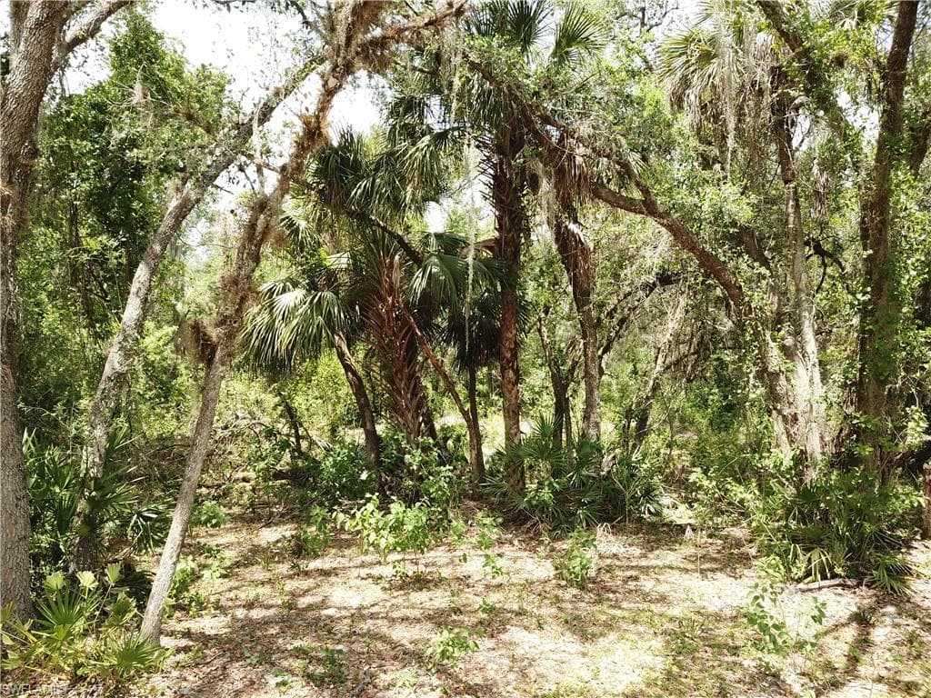 5920 Hidden Hammock DR FORT DENAUD, FL 33935