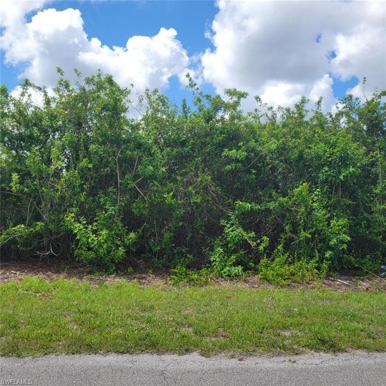 538 Louisville ST E LEHIGH ACRES, FL 33974