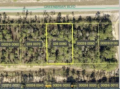 209/211 Greenbriar BLVD LEHIGH ACRES, FL 33972