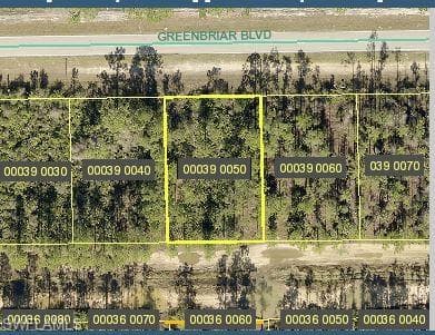 221/223 Greenbriar BLVD LEHIGH ACRES, FL 33972