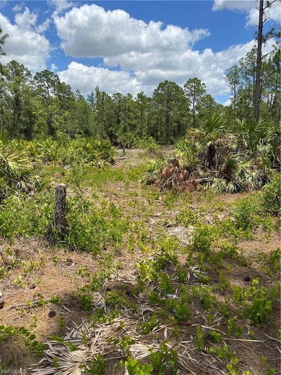 1220 Irving AVE LEHIGH ACRES, FL 33972