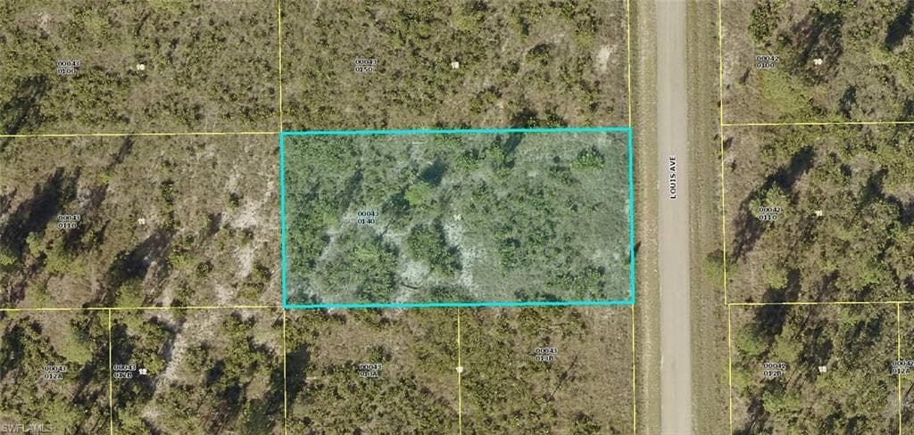 303 Louis AVE LEHIGH ACRES, FL 33936
