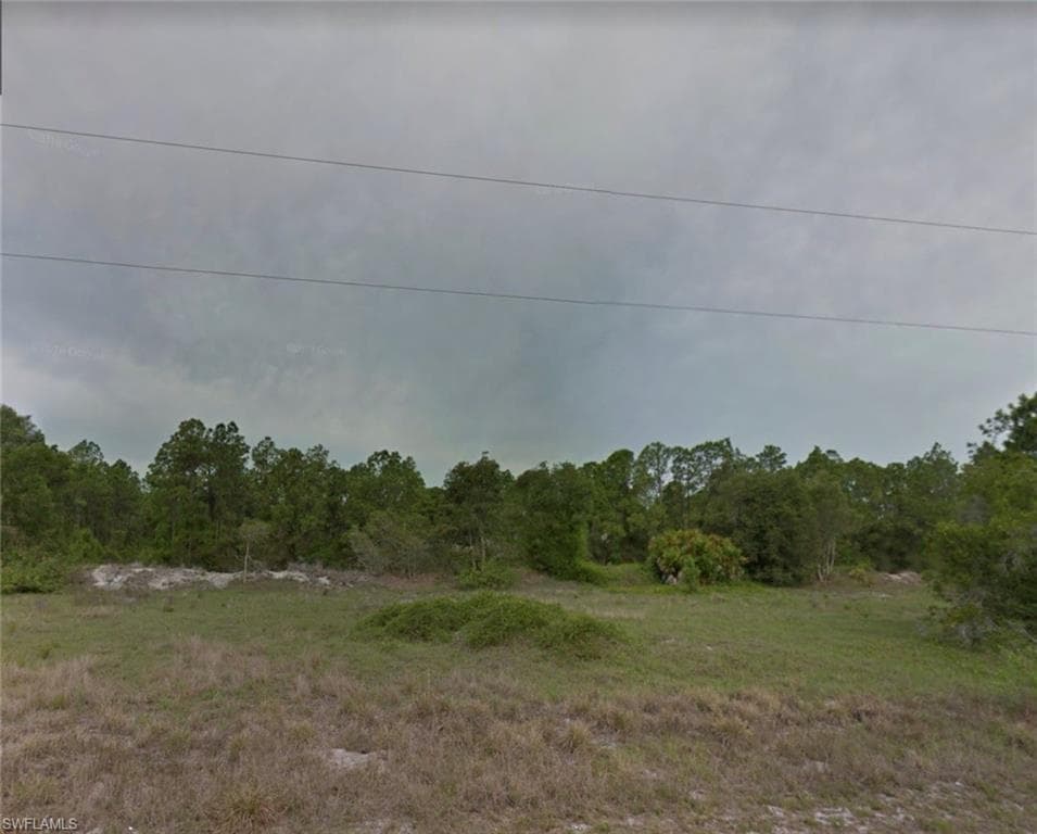 736 Aletha AVE S LEHIGH ACRES, FL 33974