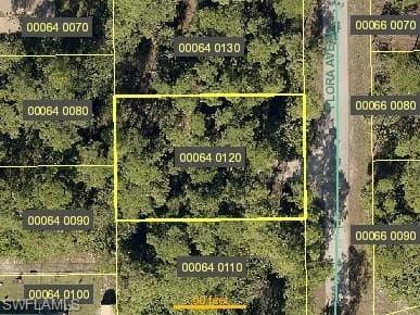 2907 Flora AVE N LEHIGH ACRES, FL 33971