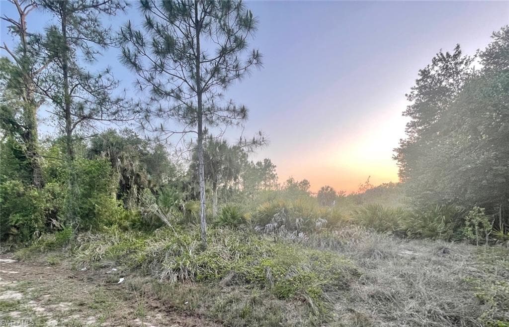 1429 Euclid AVE LEHIGH ACRES, FL 33972