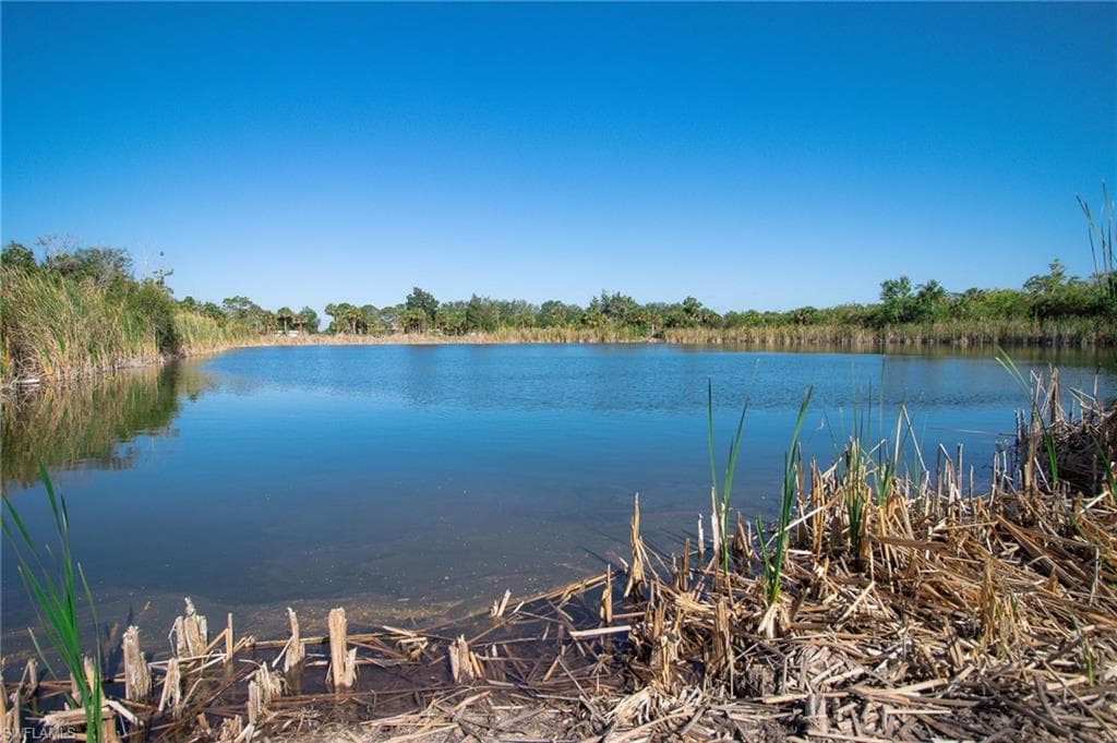 Old Olga Lot #1 FORT MYERS, FL 33905