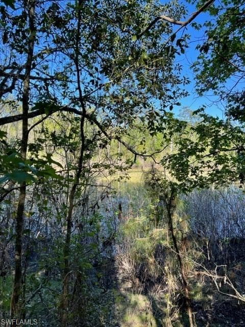 6202 Neff Lake Rd BROOKSVILLE, FL 34602