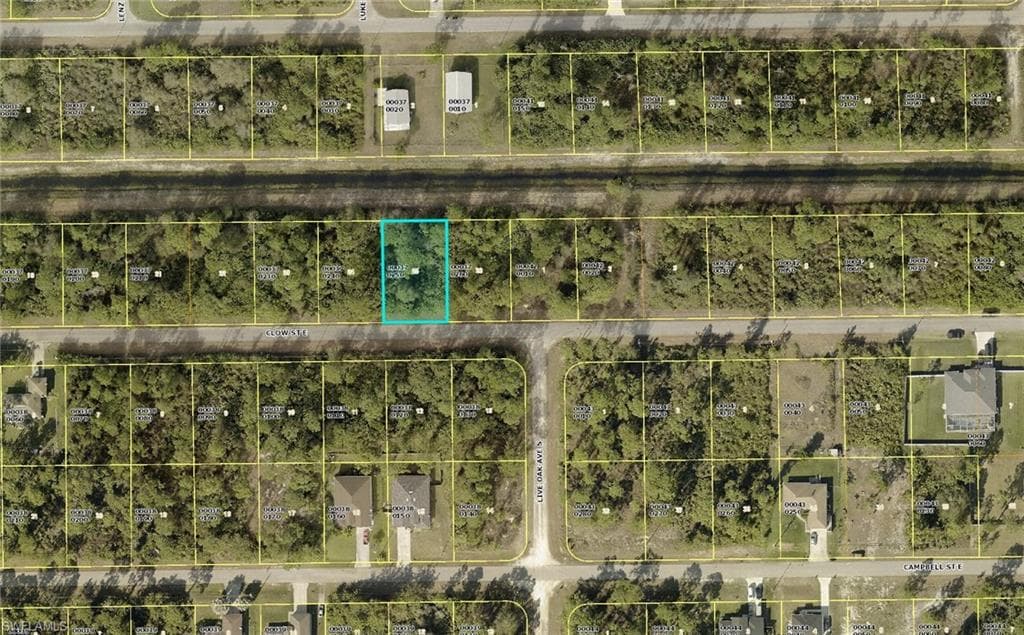 841 Clow ST E LEHIGH ACRES, FL 33974