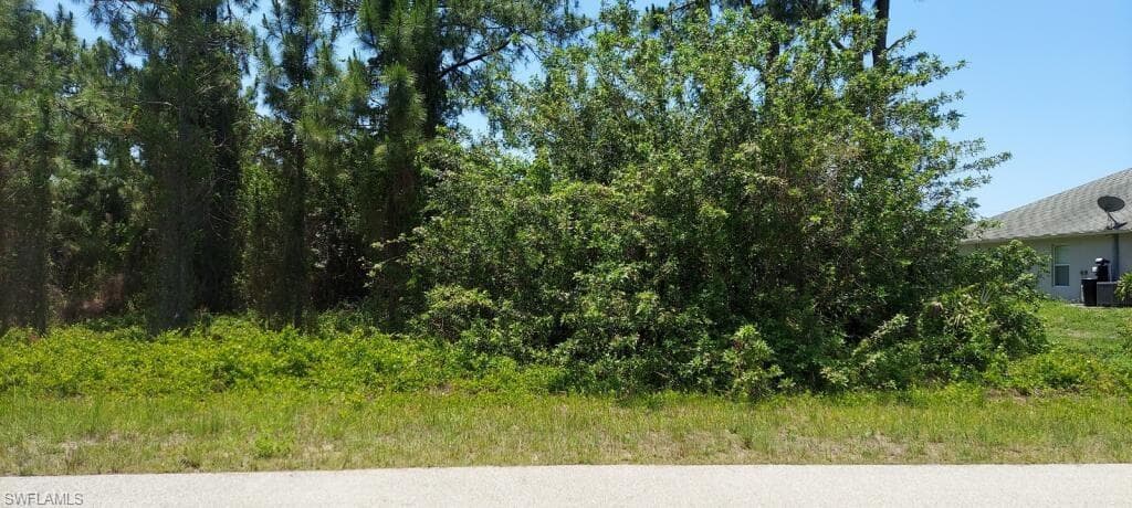 1248 Count ST E LEHIGH ACRES, FL 33974