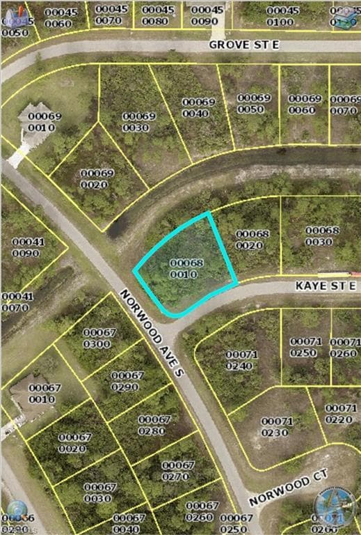 1005 Kaye ST E LEHIGH ACRES, FL 33974