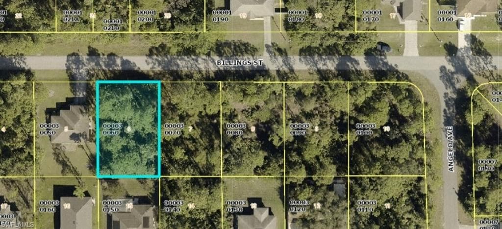 5423 Billings ST LEHIGH ACRES, FL 33971