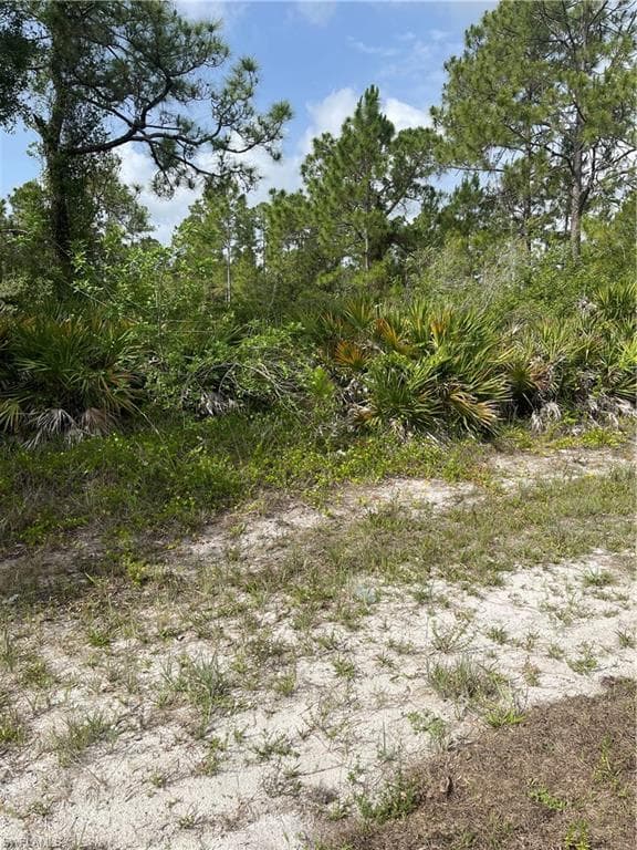 1976 Quintero LN LEHIGH ACRES, FL 33972