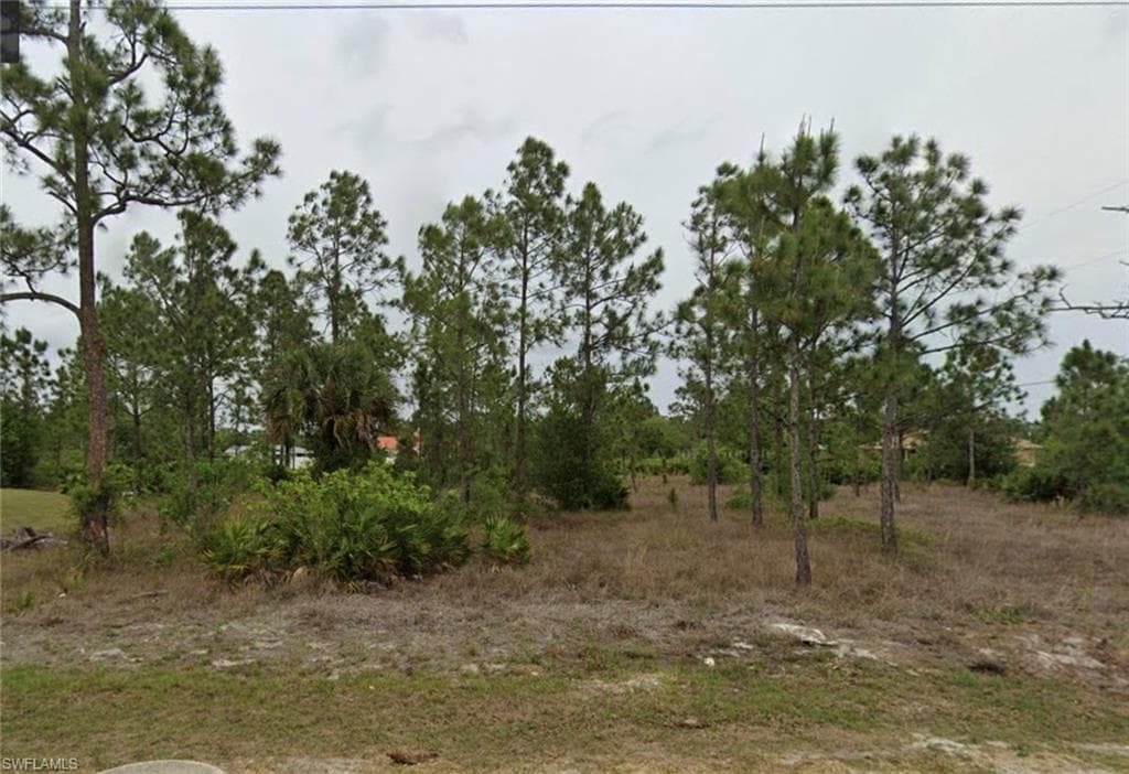 203 E 10th ST LEHIGH ACRES, FL 33972