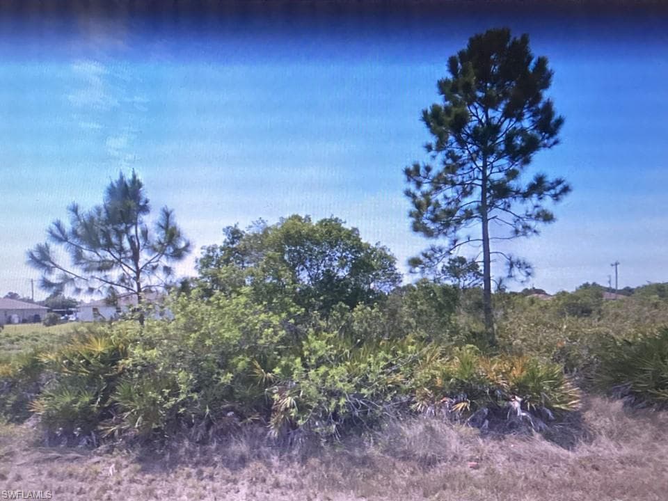 1005 Lee AVE LEHIGH ACRES, FL 33972