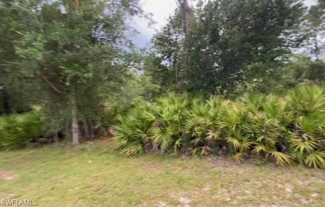 2317 Johns AVE ALVA, FL 33920