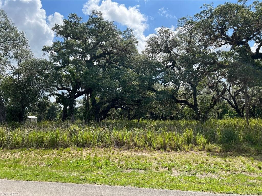 4043 Oak Haven DR LABELLE, FL 33935
