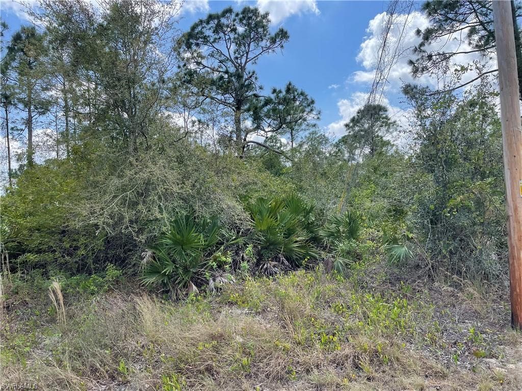 1242 Randolph ST LEHIGH ACRES, FL 33974