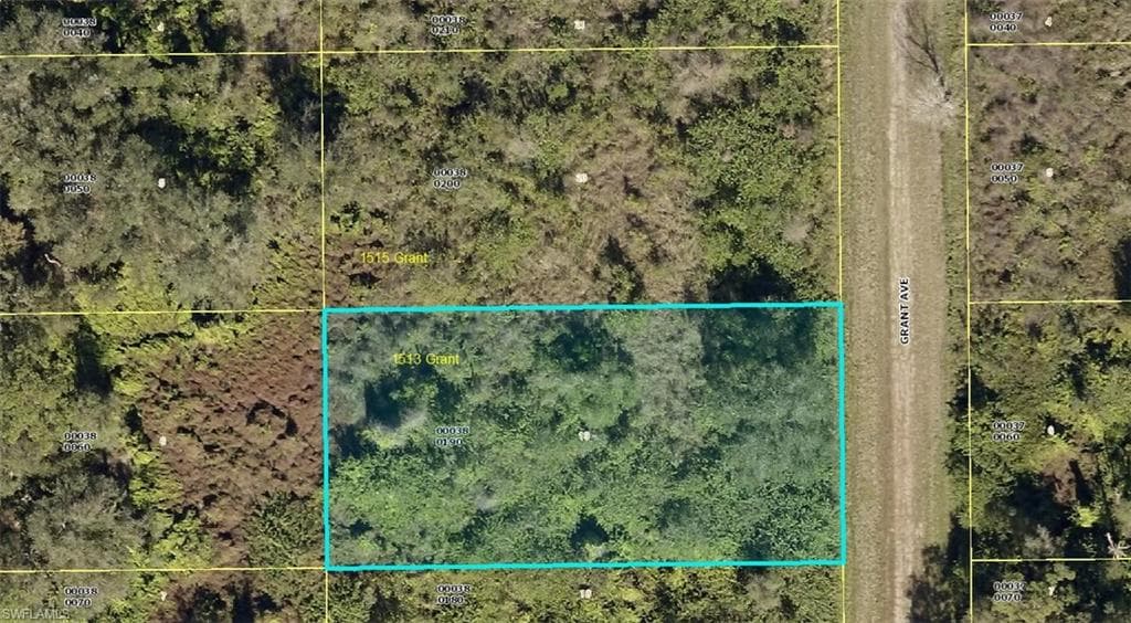 1513 Grant AVE LEHIGH ACRES, FL 33972