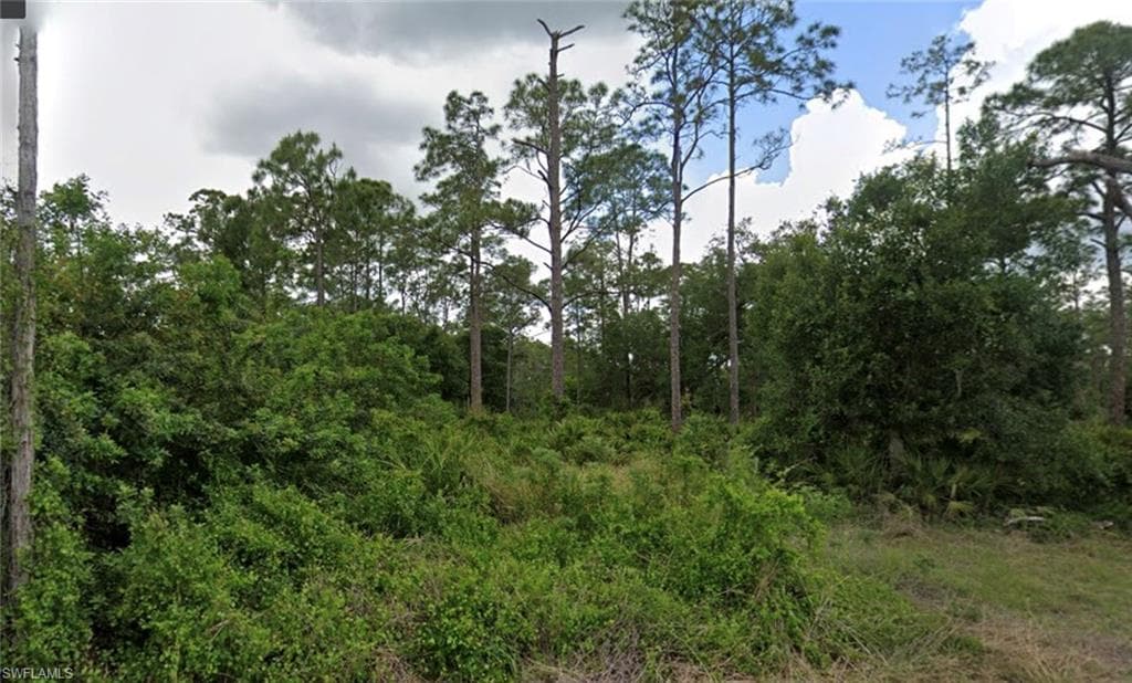 1005 Moore AVE LEHIGH ACRES, FL 33972