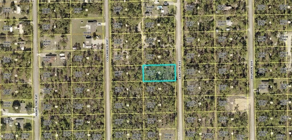 2309 Canton AVE ALVA, FL 33920