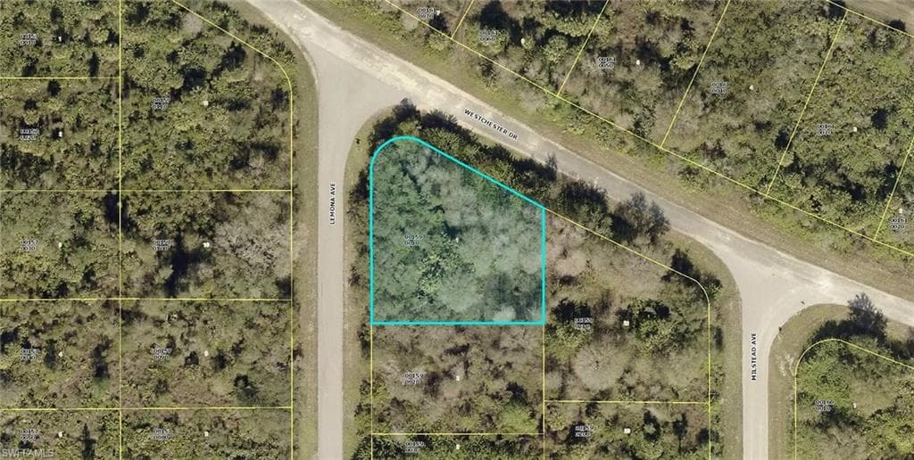 1928 Lemona AVE LEHIGH ACRES, FL 33972