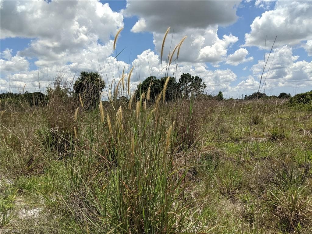 XX 58th AVE NE NAPLES, FL 34120