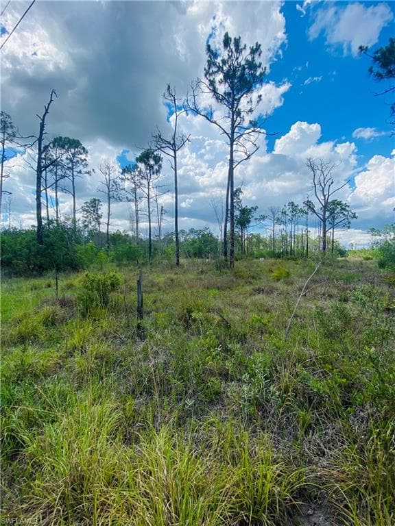 8065 Friendship LN NAPLES, FL 34120