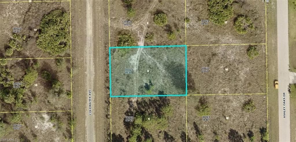 813 Coldwater AVE LEHIGH ACRES, FL 33974