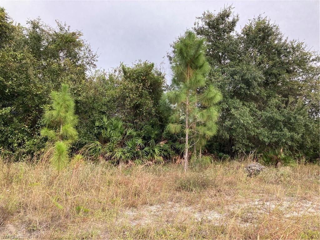1322 Rush AVE LEHIGH ACRES, FL 33972