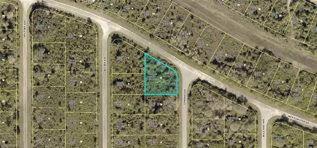 1931 Lemona AVE LEHIGH ACRES, FL 33972