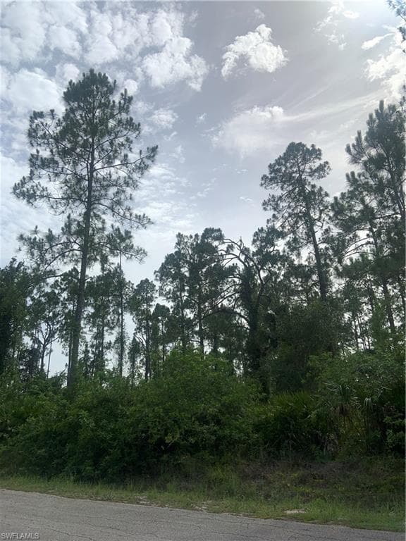 1217 Michael AVE LEHIGH ACRES, FL 33972