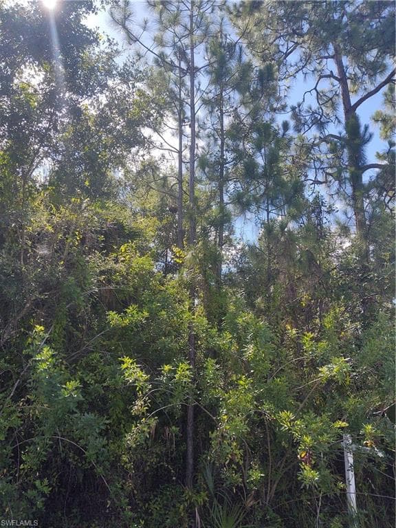 712 Clayton AVE LEHIGH ACRES, FL 33972