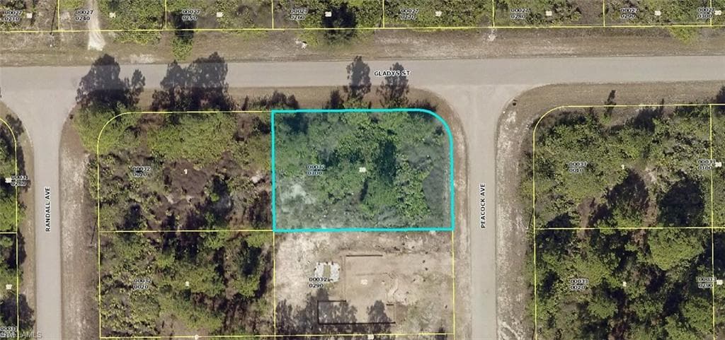 704 Peacock AVE LEHIGH ACRES, FL 33974