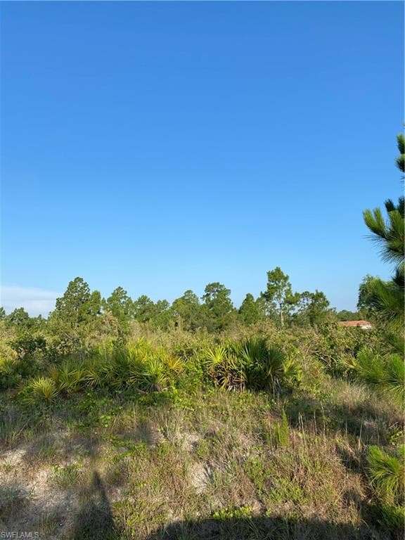305 Louis AVE LEHIGH ACRES, FL 33936