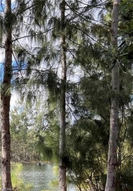 203 OCEAN PARK DR LEHIGH ACRES, FL 33471