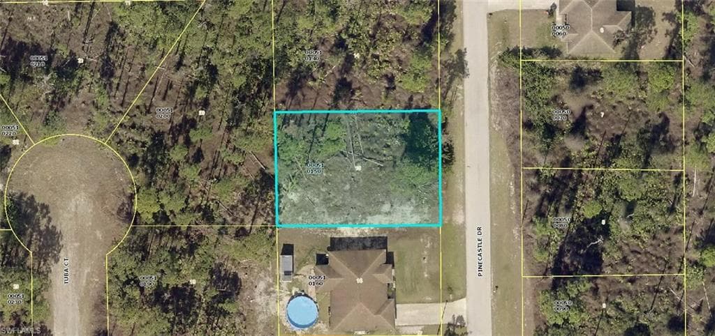 814 Pinecastle DR LEHIGH ACRES, FL 33974