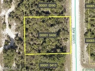 2701 Louis AVE ALVA, FL 33920