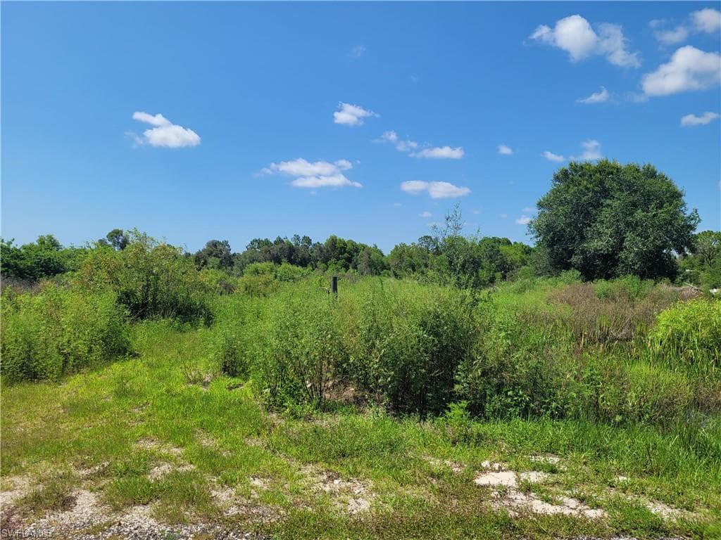 17351 Willow Brook LN FORT MYERS, FL 33913