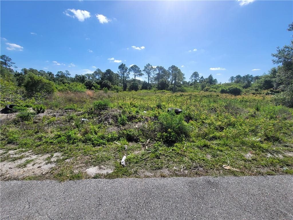 2912 Elaine AVE N LEHIGH ACRES, FL 33971