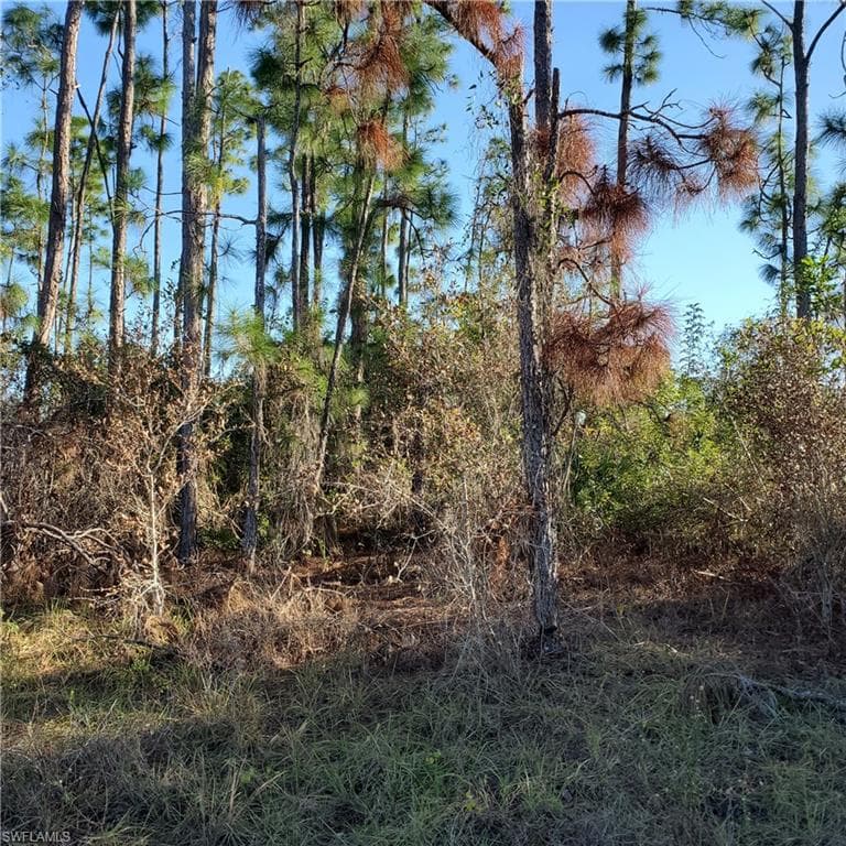 1254 Edgewood ST E LEHIGH ACRES, FL 33974