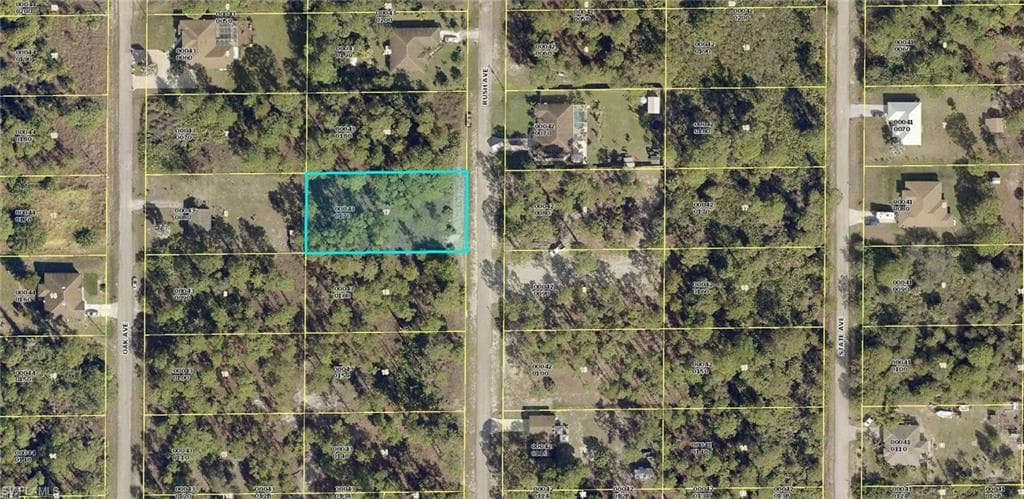 1509 Rush AVE LEHIGH ACRES, FL 33972