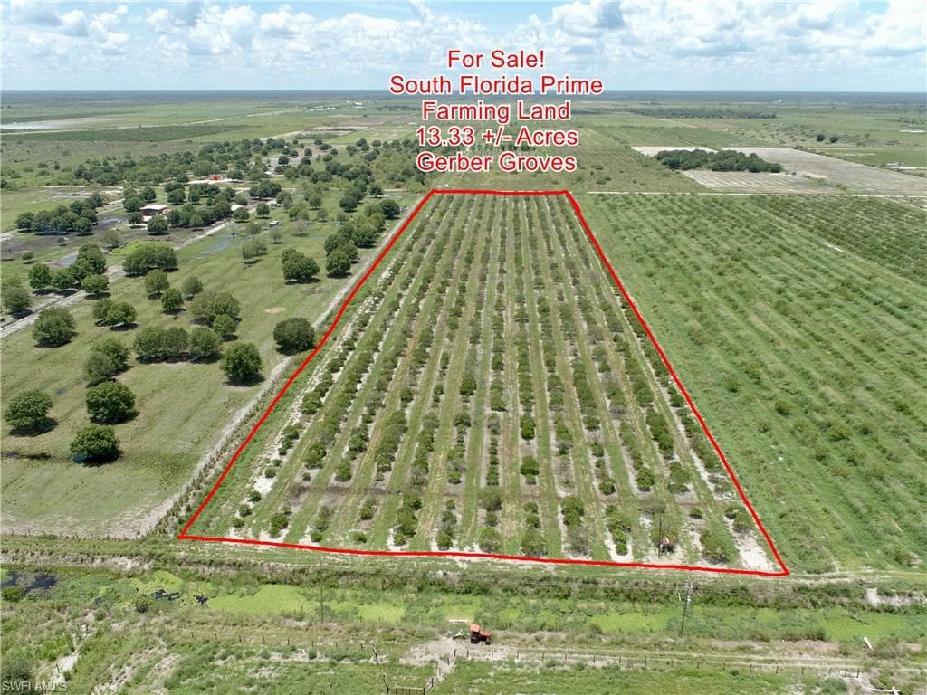 Lot 12 4th Road Sears RD LABELLE, FL 33935
